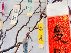 -沈阳植物园