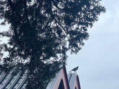 -颐和园