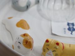 -猫里有甜