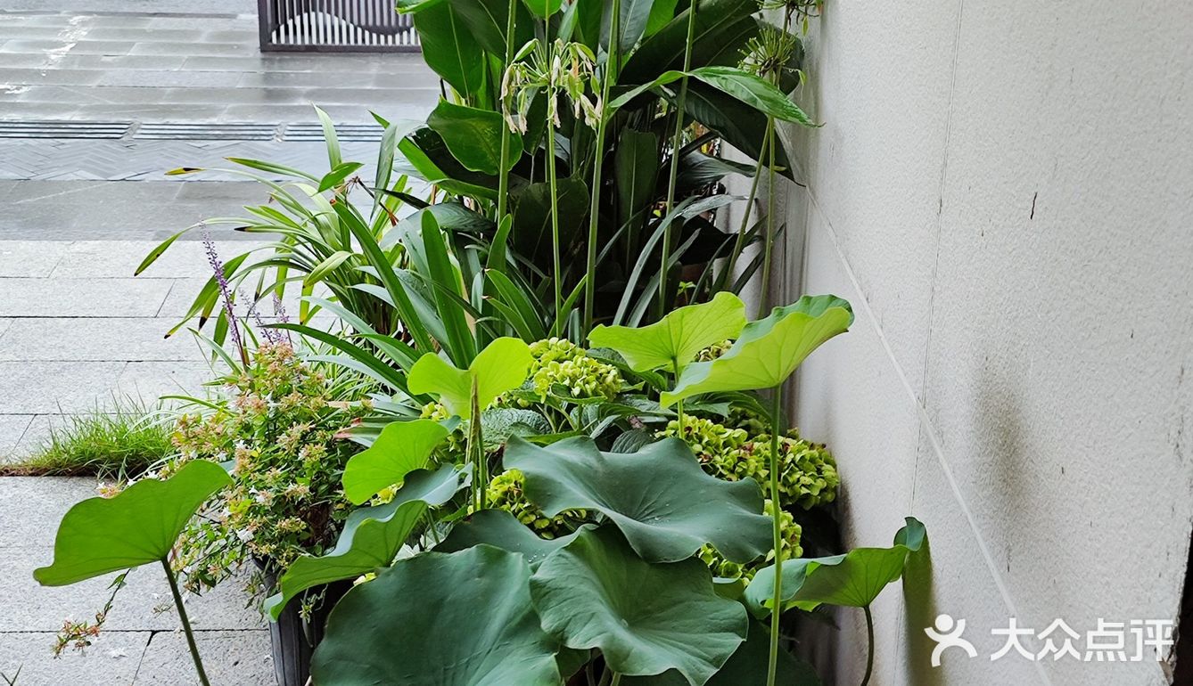 探索独特小店咯~