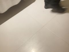-PARFUM FLORAL花境法餐(南京首店)