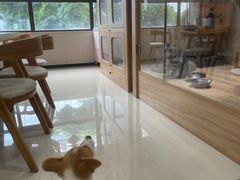 -瑞鹏宠物医院·眼科·皮肤·中兽医(大悦城分院)