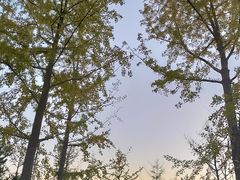 -汉长安城未央宫国家考古遗址公园