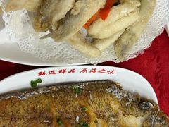 -蛇口康乐快餐鱼仔档(翠苑小区店)