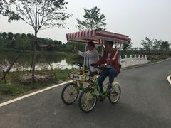 -金卉庄园