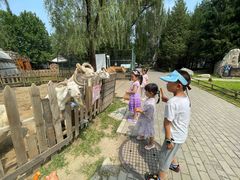 -蒙古大营(朝阳公园店)