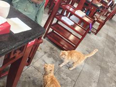 -生宇山珍野生菌汤锅•始于2002(双流古塔店)