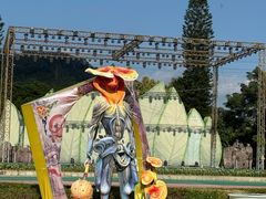 -东南花都花博园