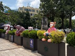 -昆明动物园