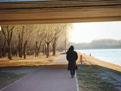 -东郊湿地公园