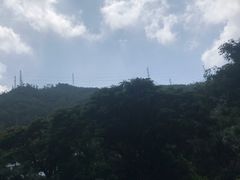 -青青世界
