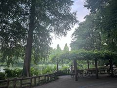 -井之头恩赐公园