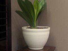 -萬國春·中菜馆(颐和公馆店)