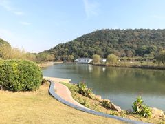 -龙寺生态园