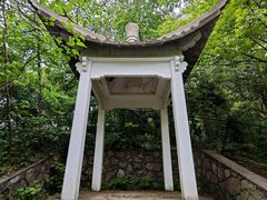 -紫金山山顶公园