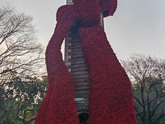 -翠湖公园