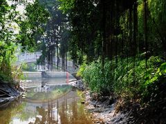 -小洲村