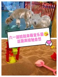 -萌宠亲子动物乐园(槐房万达店)