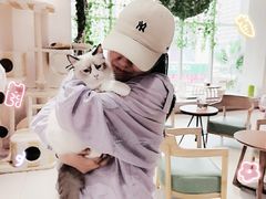 -藏猫猫咖啡主题馆(中央大道店)