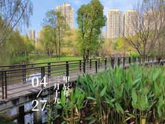 -沐仙湖湿地公园
