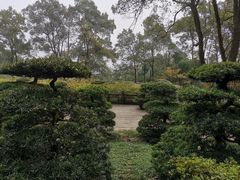 -南山植物园