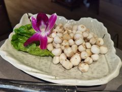 小马蹄-同仁四季椰子鸡(宝安壹方城店)