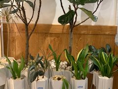 -Blueglass酸奶(财富购物中心店)