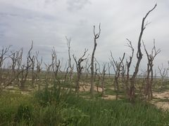 -二连浩特国家地质公园