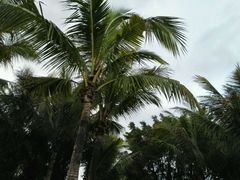 -鑫皇朝酒店(建设一路店)