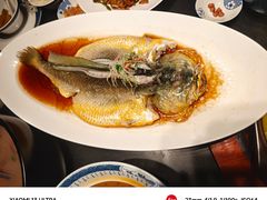 清蒸深海大黄鱼-凤凰湘语(浦东旗舰店)