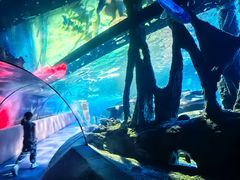 -太平洋海底世界