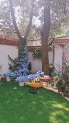 -瞳孔摄影(植物园路店)