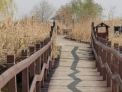 -西青郊野公园