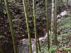 -灵顺寺