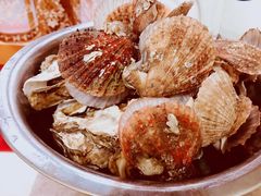 清蒸扇贝-宾朋美食海鲜餐厅·特色美食专访(兴海路店)