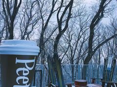 -中旅松花湖滑雪场