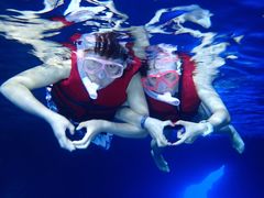 -上海潜殿潜水中心