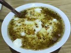 -古树酸奶(八廓南街店)