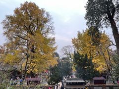 -潭柘寺景区