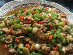 -青城甲(青城山店)