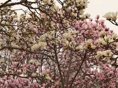-太阳宫公园