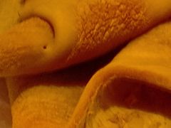 -阿满食品(大连商场店)