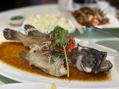 -南庄酒家·海鲜粤菜·25年老字号(环城南路店)