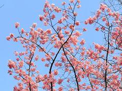 -雅达·阳羡溪山小镇中心