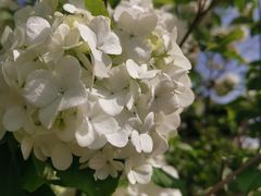 -大龙山(地铁站)