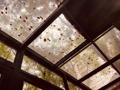 -Golden Lily河内巴黎法越料理餐厅(建国西路店)