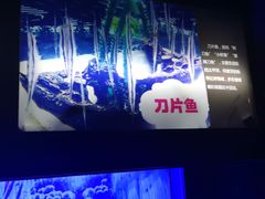 -烟台海昌鲸鲨海洋公园