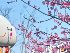-嘉北郊野公园