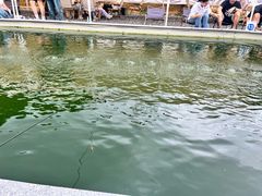 -DGE季风钓虾营地·团建·聚会