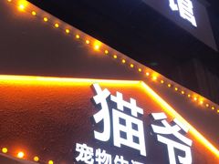 -猫爷宠物生活馆·撸猫馆